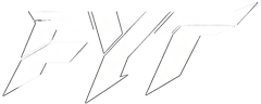 FYT-REPORT